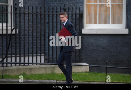 Downing Street, London, UK. 30. Jan 2018. Gavin Williamson, Staatssekretär für Verteidigung, kommt für frühe Downing Street Cabinet Meeting. Credit: Malcolm Park/Alamy Leben Nachrichten. Stockfoto