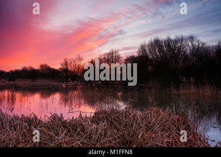 Barton-upon-Humber, Lincolnshire. 30 Jan, 2018. UK Wetter: Ein bunter Sonnenaufgang über einem Lincolnshire Wildlife Trust Nature Reserve. Barton-upon-Humber, North Lincolnshire, Großbritannien. 30. Januar 2018. Quelle: LEE BEEL/Alamy leben Nachrichten Stockfoto