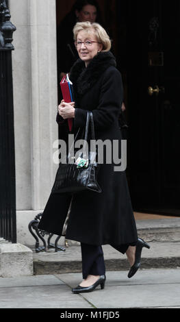 London, Großbritannien. 30. Januar, 2018. Andrea Leadsom Herr Präsident des EU-Rates gesehen, 10 Downing Street, London, UK Credit: RM Presse/Alamy leben Nachrichten Stockfoto