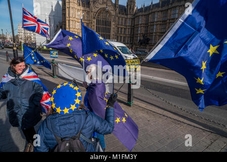 London, Großbritannien. 30. Januar, 2018. Anhänger der übrigen in der EU (im Rahmen der SODEM - Zeit für Aktion banner) ihren Protest außerhalb der Häuser des Parlaments als Herren der Brexit Bill und der Premierminister reamins unter Druck von ihr zurück benchers. Credit: Guy Bell/Alamy leben Nachrichten Stockfoto