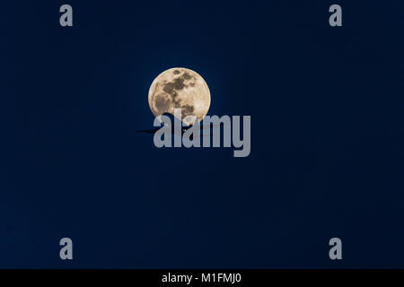 New Delhi, Indien. 30 Jan, 2018. Ein Flugzeug zu sein scheint, die die herrlichen Super-moon einen Tag vor der Mondfinsternis. Credit: swapan Banik/Alamy leben Nachrichten Stockfoto