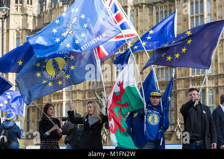 Westminster, London, UK, 30. Jan 2018. SODEM (Stand der Missachtung der Europäischen Bewegung) Protest in Westminster. An dem Tag, an dem das House of Lords kehrt in die Debatte der EU Widerrufsrecht Rechnung, und ein durchgesickerter Bericht schlägt vor, dass die britische Wirtschaft wahrscheinlich schlechter nach Brexit, defiant Pro-EU-Demonstranten in Westminster demonstrieren werden. Credit: Imageplotter Nachrichten und Sport/Alamy leben Nachrichten Stockfoto