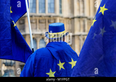 Anti-Brexit Demonstrant zeigt außerhalb des Houses of Parliament in London, England, Vereinigtes Königreich, Großbritannien Stockfoto