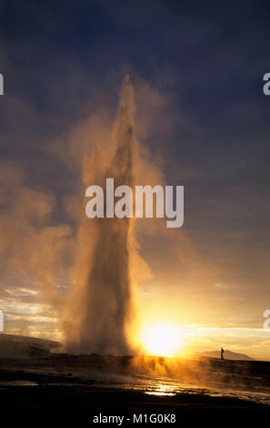 Island. Geysir. Strokkur Geysir. Stockfoto