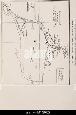 Eine biologische Untersuchung der Pribilof Inseln, Alaska. I. in der Vögel und Säugetiere (1923) (20192671728) Stockfoto
