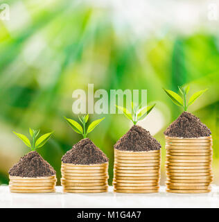 Das Baumwachstum in goldenen Münzen mit frischen Natur Hintergrund, Geschäftskonzept. Stockfoto