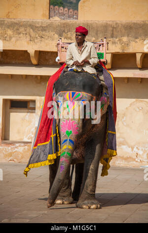 Mahout und seine bemalten Elefanten Touristen, die für Fahrten im Amber Fort, Jaipur, Rajasthan, Indien Stockfoto