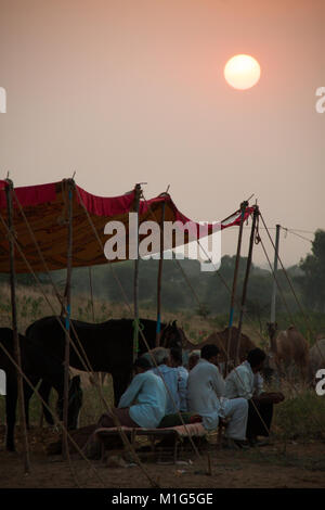 Sonne über Männer unter einer Leinwand Tierheim in der Pushkar Camel Fair, Rajasthan, Indien ruhen Stockfoto