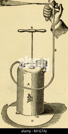 Ein Handbuch von Erkrankungen des Rachens und der Nase - einschließlich der Rachen, Kehlkopf, die Luftröhre, die Speiseröhre, der Nase und des Rachens (1880) (14596231610) Stockfoto