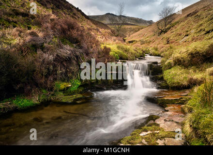 Messe Bach auf und Fairbrook Naze Stockfoto