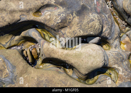 Erodiert rock Muster, China Cove, Point Lobos State Park, Carmel, Kalifornien. Stockfoto