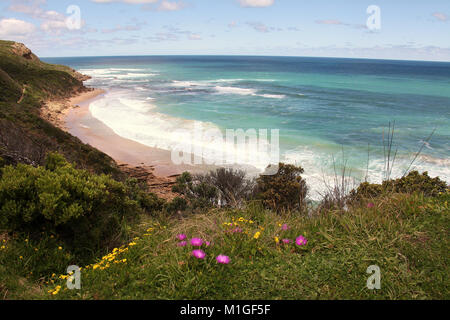 Schloss Cove at Great Otway National Park in Australien Stockfoto