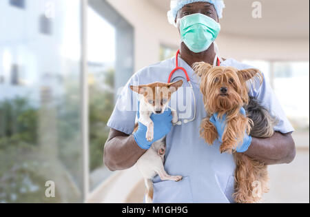 Tierarzt und süße Haustiere auf einem Luxus Pet Hospital Hintergrund Stockfoto
