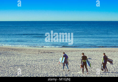 Boardriders Spaziergang entlang der Sandstrand von Bondi Beach in Sydney, Australien, einige am frühen Morgen Wellen zu fangen. Stockfoto