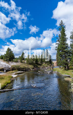 Die firehole River fließt durch die Upper Geyser Basin von Yellowstone. Yellowstone National Park, Wyoming, USA Stockfoto