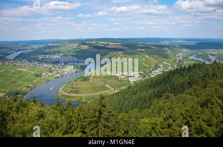 Blick vom Turm fünf Seen, Detzem, Mosel, Rheinland-Pfalz, Deutschland, Europa Stockfoto