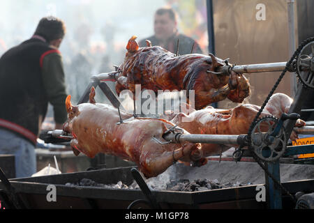 Junge Schweine gebraten auf einem Feuer. Ferkel grillen auf einen Brand außerhalb. Ganze Schweine im Freien gebacken. Cheverme. Schwein am Spieß. Gebratenes Schweinefleisch. Gebratenes Fleisch. Stockfoto