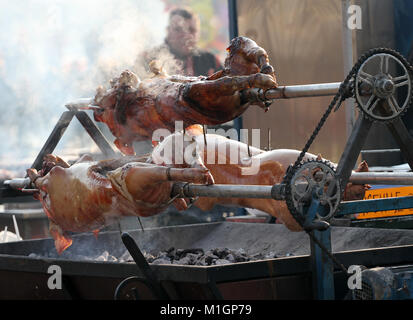 Junge Schweine gebraten auf einem Feuer. Ferkel grillen auf einen Brand außerhalb. Ganze Schweine im Freien gebacken. Cheverme. Schwein am Spieß. Gebratenes Schweinefleisch. Gebratenes Fleisch. Stockfoto