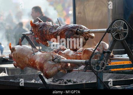 Junge Schweine gebraten auf einem Feuer. Ferkel grillen auf einen Brand außerhalb. Ganze Schweine im Freien gebacken. Cheverme. Schwein am Spieß. Gebratenes Schweinefleisch. Gebratenes Fleisch. Stockfoto