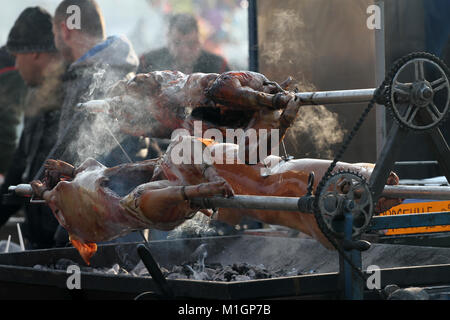 Junge Schweine gebraten auf einem Feuer. Ferkel grillen auf einen Brand außerhalb. Ganze Schweine im Freien gebacken. Cheverme. Schwein am Spieß. Gebratenes Schweinefleisch. Gebratenes Fleisch. Stockfoto