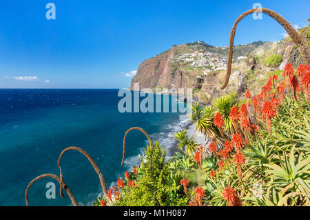 Madeira Portugal Madeira Blick Richtung Cabo Girao eine der weltweit höchsten Klippen von Camara de Lobos, die Südküste von Madeira, Portugal, EU, Europa Stockfoto