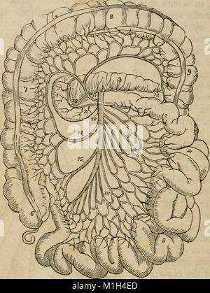 Eine analytische Kompendium der verschiedenen Zweige der medizinischen Wissenschaft, für die Nutzung und Prüfung der Studierenden (1848) (17982632928) Stockfoto
