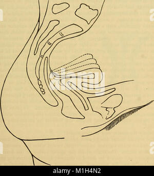 Ein System der Medizin, das Gesetz der Homöopathie (1885) (14768081755) Stockfoto