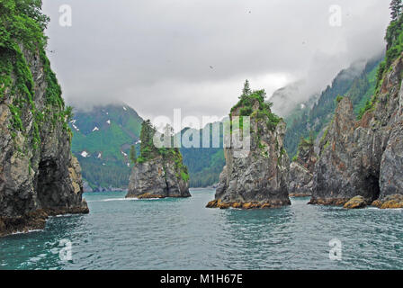 Krümmungsanalyse mit Stacheln Krümmungsanalyse mit Stacheln Bucht in Kenai Fjords National Park Stockfoto