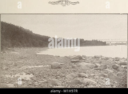 Diese Publikation bietet einen Überblick über Saskatoon, Kanada, mit detaillierter Darstellung der Geschichte, des aktuellen Status und des zukünftigen Potenzials. Sie hebt die Rolle der cityÂ als Eisenbahnzentrum und ihre Bedeutung als Drehscheibe für die Weizenproduktion in Zentralkanada hervor und unterstreicht das Wachstum und die Chancen der cityÂ. Stockfoto