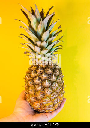 Hand mit einem Ananas vor gelbem Hintergrund Stockfoto