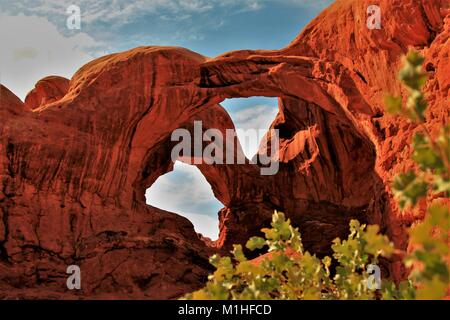 Arches National Park, Utah - Land der schönen roten Rock, erstaunlichen natürlichen Felsen Skulpturen, Wandern, photo Ops und Kiefer fällt! Stockfoto