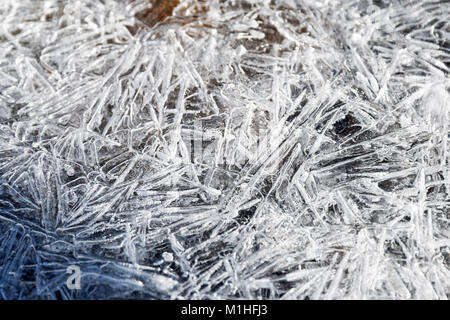 Nahaufnahme von einem Gitter aus Eis die Bildung von Kristallen auf einem Strom in Northeast Harbor, Maine. Stockfoto