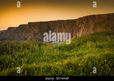 Hartland Quay, Devon, Großbritannien. Sonnenuntergang Stockfoto