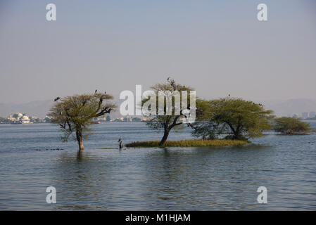 Nerhu Insel, Fateh Sagar Lake, Udaipur Stockfoto