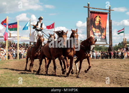 Pferde in der Wildnis - Traditionelle Bewahrung Programm in Ungarn. 08/2016 Bugac, Ungarn Stockfoto