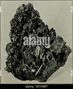 Ein beliebter Führer auf Mineralien - mit Kapiteln über die bement Sammlung von Mineralien in das Amerikanische Museum der Naturgeschichte, und die Entwicklung der Mineralogie (1912) (14775786134) Stockfoto