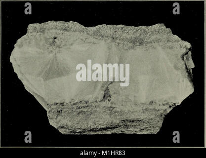 Ein beliebter Führer auf Mineralien - mit Kapiteln über die bement Sammlung von Mineralien in das Amerikanische Museum der Naturgeschichte, und die Entwicklung der Mineralogie (1912) (14591464569) Stockfoto