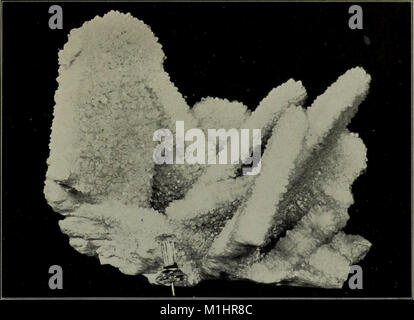 Ein beliebter Führer auf Mineralien - mit Kapiteln über die bement Sammlung von Mineralien in das Amerikanische Museum der Naturgeschichte, und die Entwicklung der Mineralogie (1912) (14591277518) Stockfoto