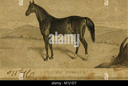 American turf Register und sportlichen Magazin (1837) (14779285834) Stockfoto