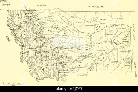 Eine verteilungspolitische Liste der Vögel von Montana, mit Hinweisen auf die Migration und die Verschachtelung der besser bekannten Arten (1921) (14749584882) Stockfoto