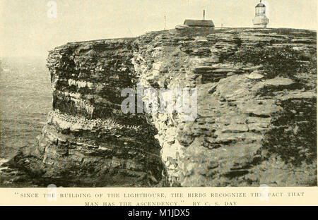 Unter Wasser - Vögel; Beobachtung, Abenteuer, Fotografie. Ein beliebter Erzählung Berücksichtigung der Wasser- Vögel als in den nördlichen und mittleren Staaten und Kanada, östlich der Rocky Mountains (1903) (14568844809) Stockfoto