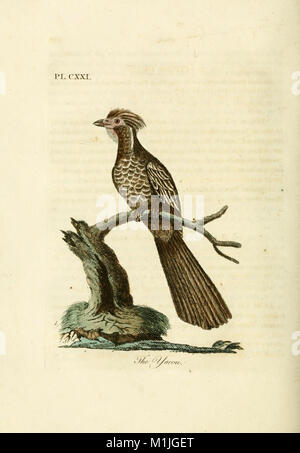 Eine allgemeine Geschichte der Vögel (1821) (14752992824) Stockfoto