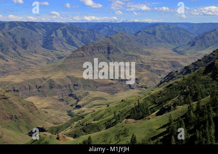 Blick auf den Hells Canyon National Recreation Area von der Nez Perce indian Nee-Me - Poo Historic Trail im östlichen Oregon. Stockfoto