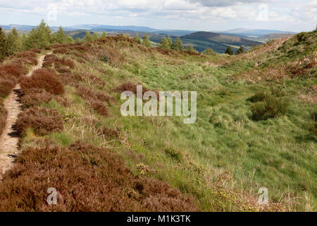 Bury Gräben Eisenzeit Hill Fort in Shropshire, einem der Gräben mit einem Wall Bank auf der rechten und auf der linken Seite Stockfoto