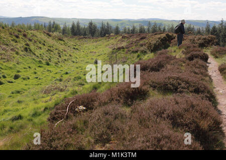 Bury Gräben Eisenzeit Hill Fort in Shropshire, einem der Gräben mit einem Wall Bank auf der rechten und auf der linken Seite Stockfoto