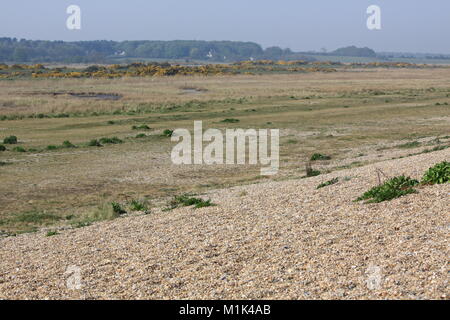 Dunwich Strand, Sufflok, Britische Stockfoto