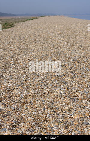 Dunwich Strand, Sufflok, Britische Stockfoto