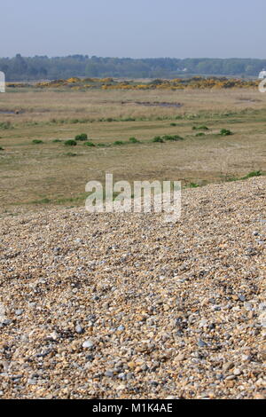 Dunwich Strand, Sufflok, Britische Stockfoto