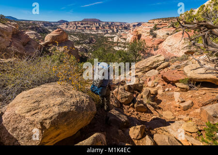 Karen Rentz absteigend Das robuste Trail hinunter in die Salt Creek Canyon von der Kathedrale Butte Trailhead im Needles District des Canyonlands Nati Stockfoto