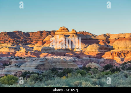 Sonnenuntergang auf dem Sandstein Formationen vom Campingplatz 1 in Salt Creek Canyon im Needles District des Canyonlands National Park, Utah, USA Stockfoto